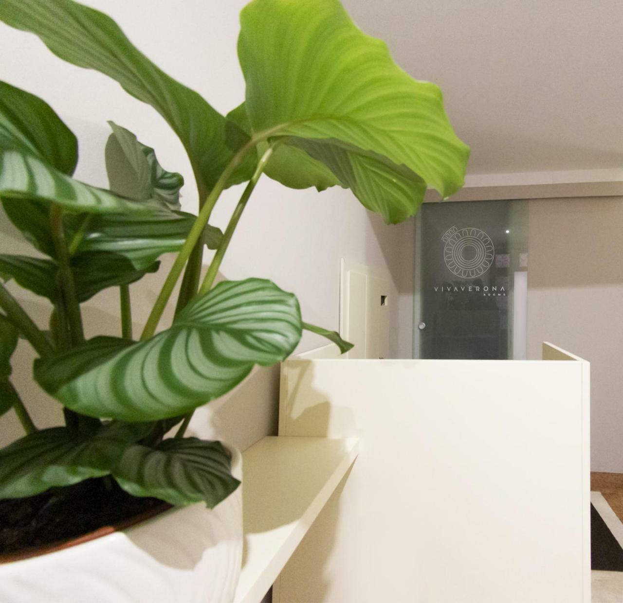 Vivaverona Rooms Εξωτερικό φωτογραφία